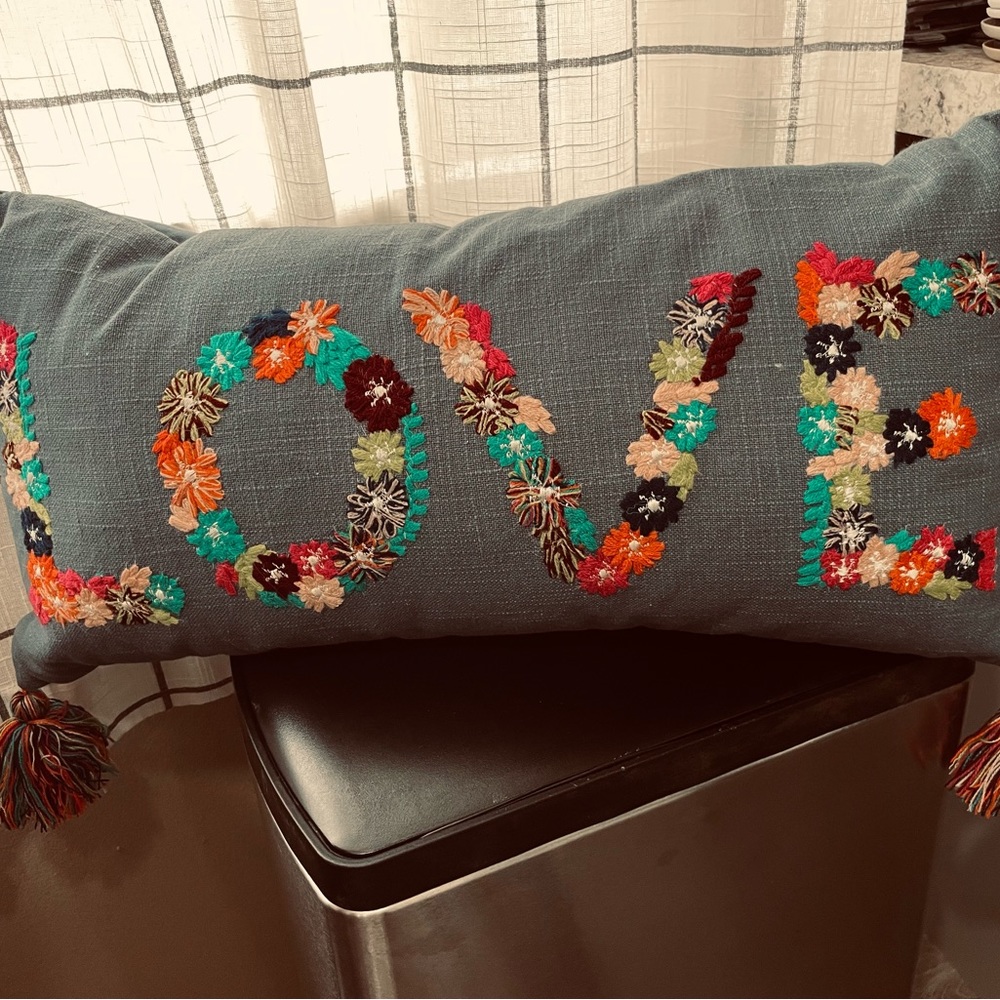 NWT 22” Darbie Angell Embroidered Blooming Love Throw Pillow